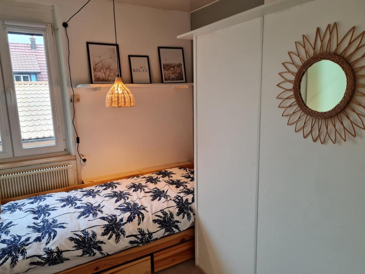 Les Chouchous Du Ried 2 Daire Saasenheim Dış mekan fotoğraf